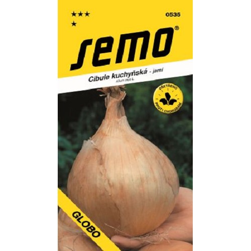 Cibuľa jarná Globo