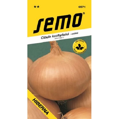 Cibuľa Hiberna ozimna