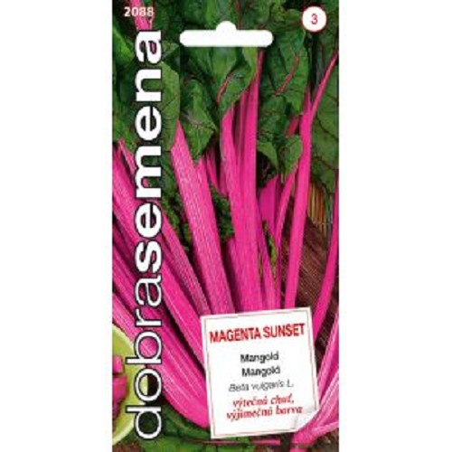 DS Mangold MAGENTA SUNSET