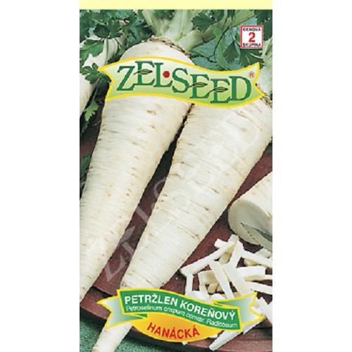 Petržlen kor.Hanácky