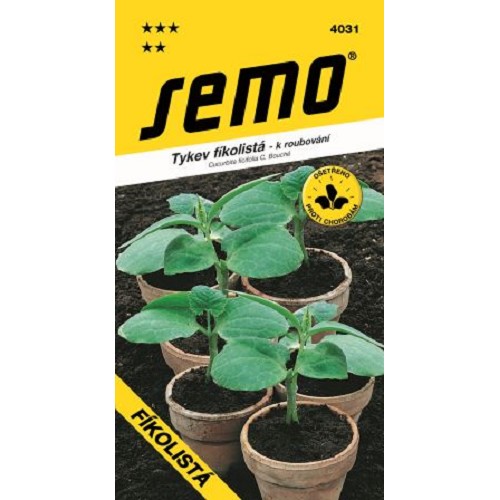 Tekvica FIKOLISTÁ na vrubl.