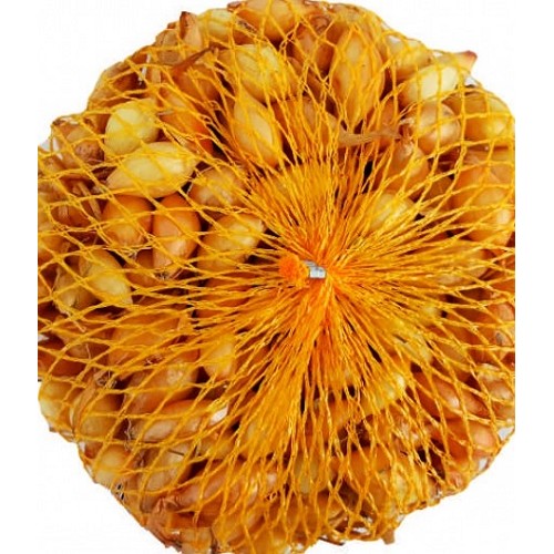 Cibuľa sadzačka Všetana 500g 10-21mm