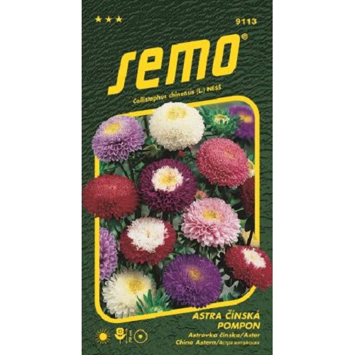 Astra pompom zmes