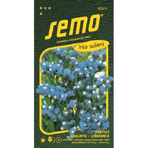 Limonka(Statica)Sky Blue
