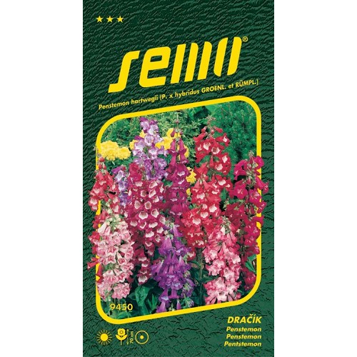 Penstemon