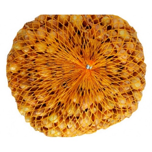 Cibuľa sadzačka Štutgart 500g 8-16mm